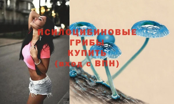 ECSTASY Бугульма